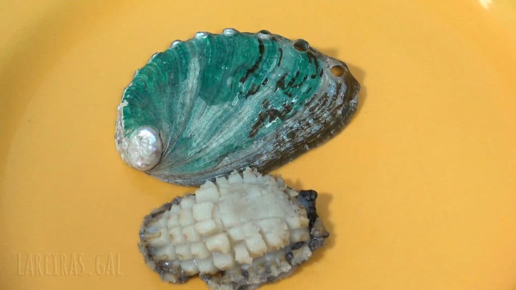 Natural abalone