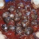 Caracois guisados
