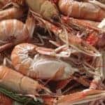Boiled scampi