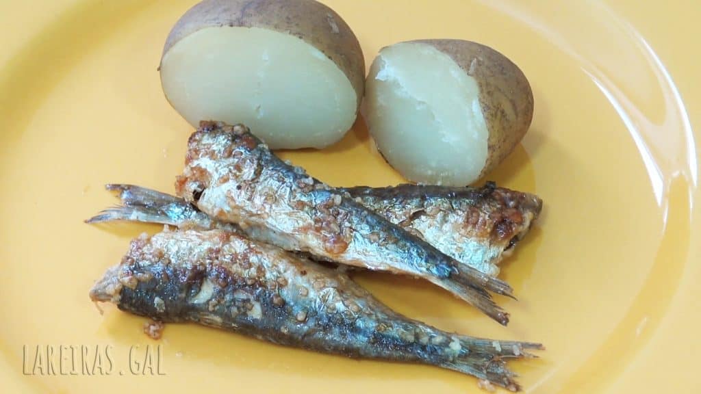 Xoubas (small sardines) with cachelos